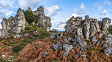 Roche Rock