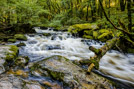 Golitha Falls - Cornwall