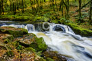 Golitha Falls - Cornwall