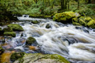 Golitha Falls - Cornwall