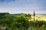 Sutton Bank - North Yorkshire