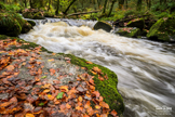 Golitha Falls - Cornwall