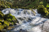 Golitha Falls - Cornwall