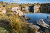 Bodmin Moor