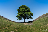 Hadrian's Wall