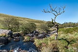 West Okement River