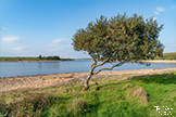 Colliford Lake