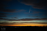 Neowise Comet