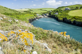 Port Quin - Cornwall