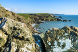 Damehole Point - Devon