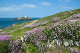 Godrevy - Cornwall
