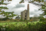 Baronet's Engine House - Lanner - Cornwall