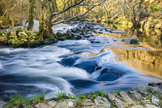 River Teign - Devon