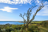 Dodman Point - Cornwall